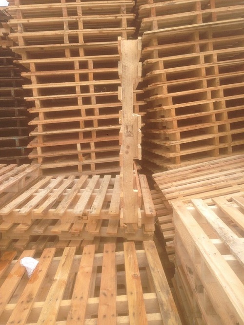 Pallet gỗ 2 hướng nâng - Pallet Trung Thiên Ân - Công Ty TNHH Trung Thiên Ân